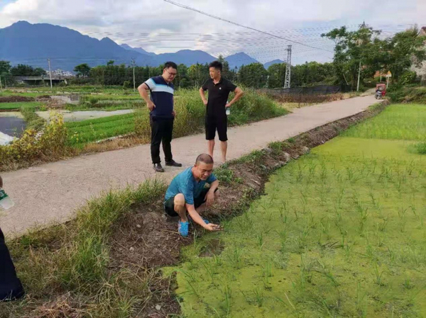 nEO_IMG_p5-早启动、早调研、早谋划！省司法厅驻镇帮扶工作队跑好乡村振兴“第一棒”.jpg